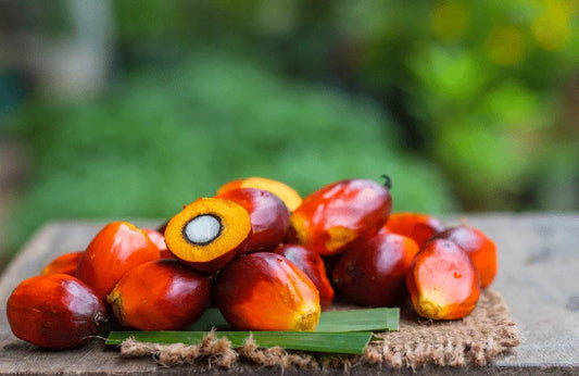 What are the benefits of batana oil?